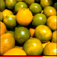 Diversidade de itens disponíveis